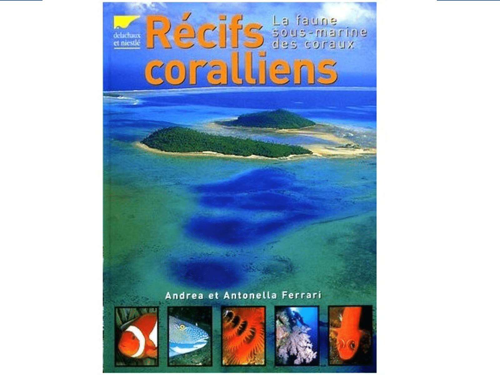 Récifs coralliens