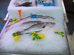 poissonnerie01.jpg