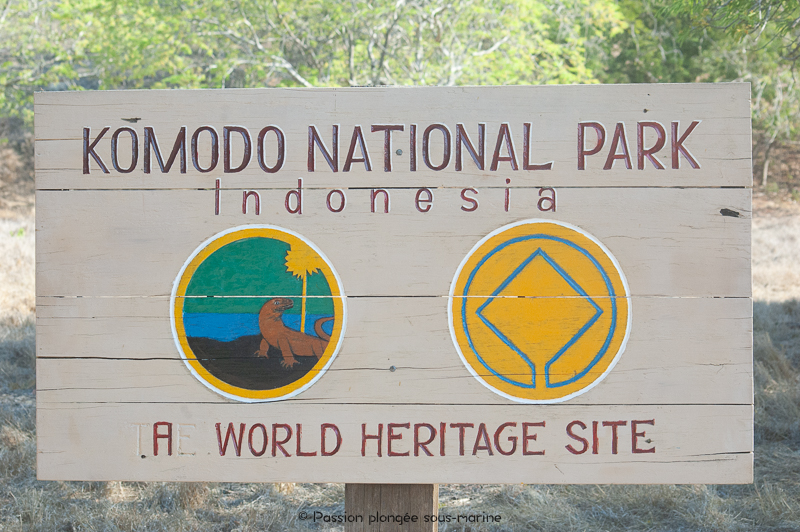Komodo national park