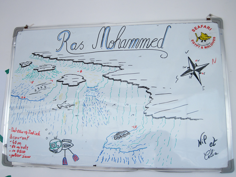 Briefing Ras Mohammed mer Rouge Egypte