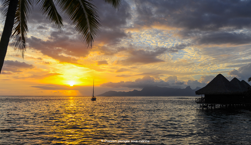 coucher de soleil sur Moorea Tahiti