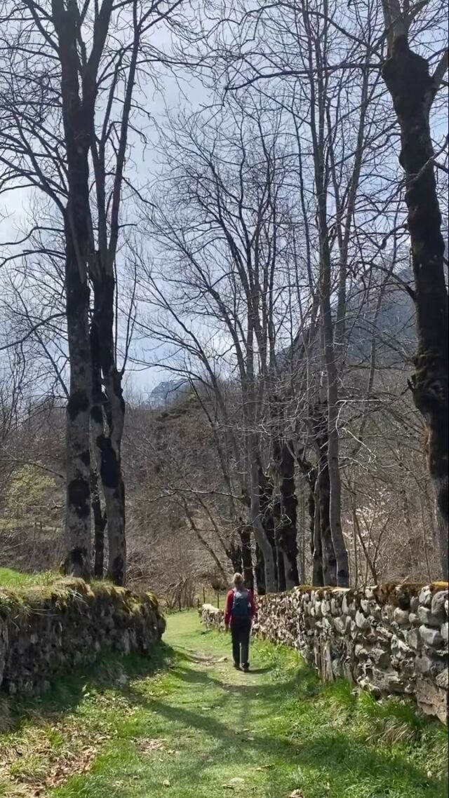 Retour sur un beau week-end de Pâques dans les Pyrénées 🥾🐣☀️
.
.
.
#randonnée #pyrenees #loudenvielle #valleedulouron #blogvoyage #tourismefrance